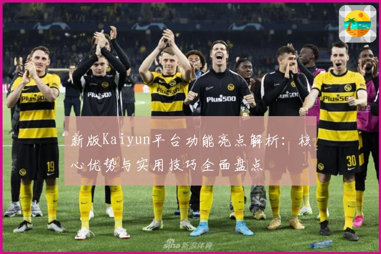新版Kaiyun平台功能亮点解析:核心优势与实用技巧全面盘点